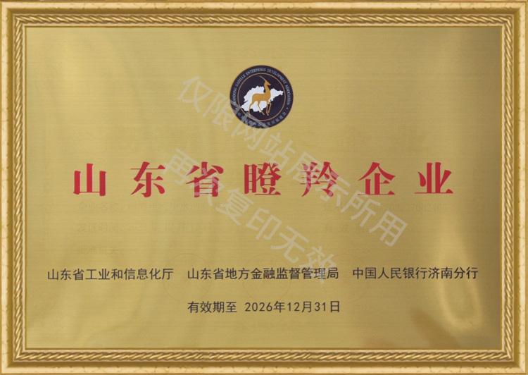 證書(shū)3 